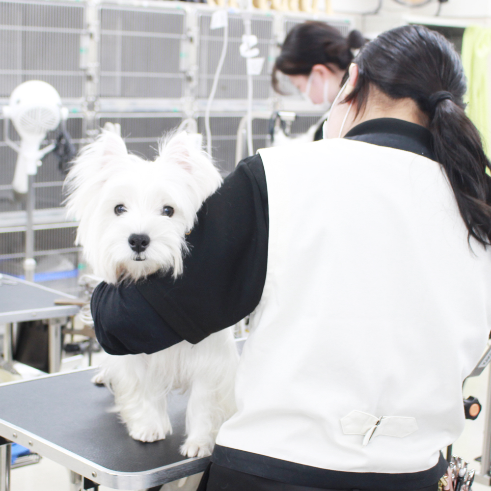 生徒たち、今年もがんばりました！